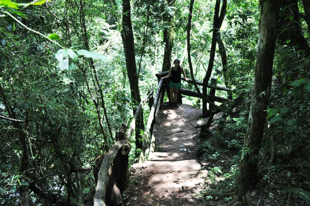 Excursiones de Puro Moconá Lodge
