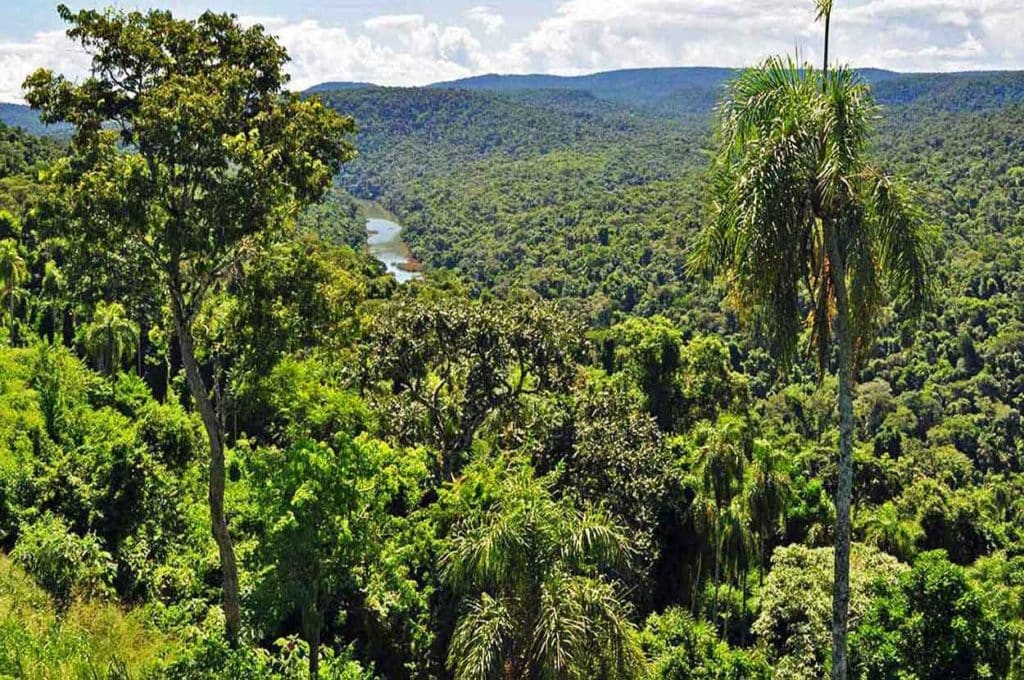 Excursiones de Puro Moconá Lodge