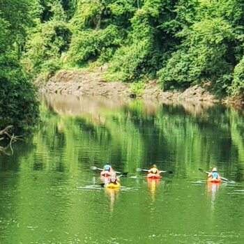 Excursiones de Puro Moconá Lodge