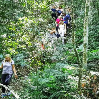 Excursión Saltos del Moconá