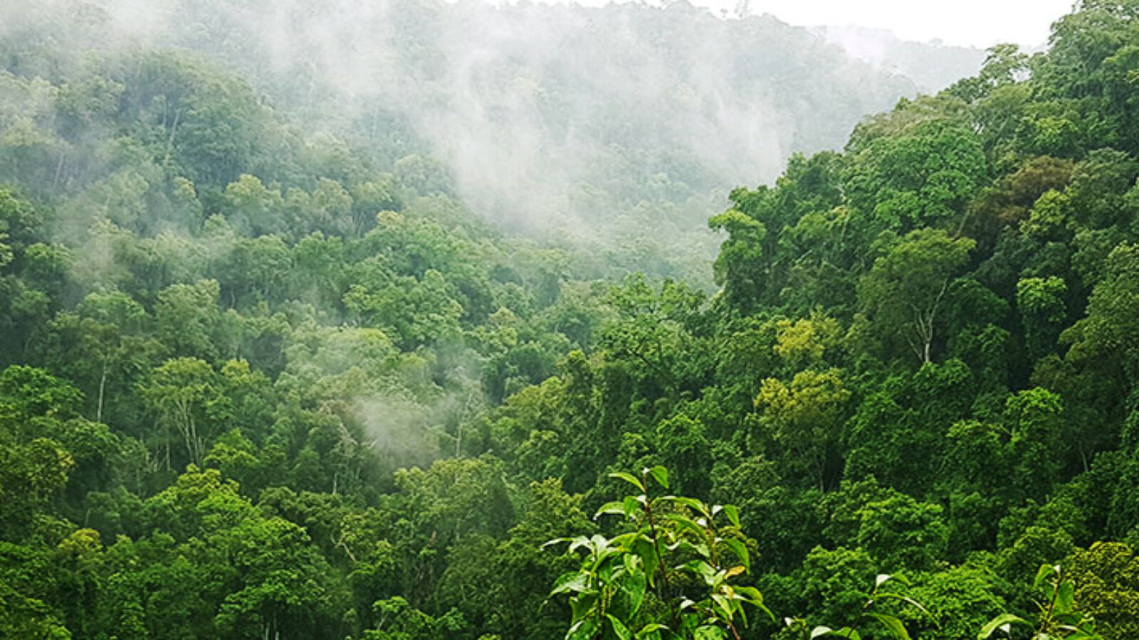 Puro Moconá Lodge
