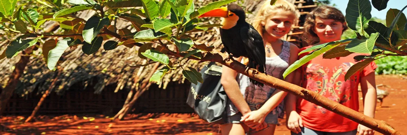 Excursiones y transfers en Misiones