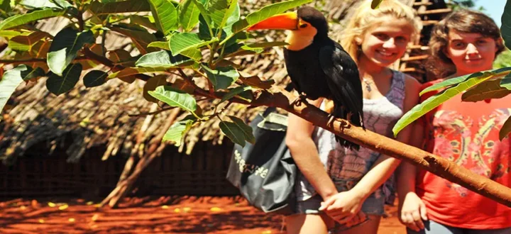 Excursiones y transfers en Misiones