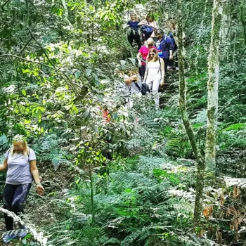 Excursión a Saltos del Moconá