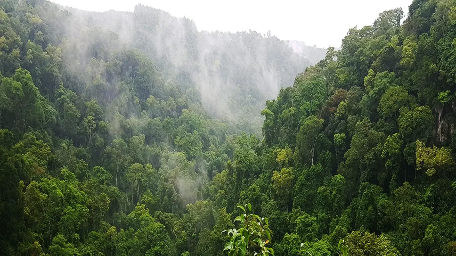 Puro Moconá Lodge